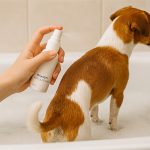 Evlyn kutyapermet 50 ml - kókusz illattal